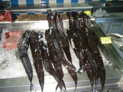 Espada Fisch